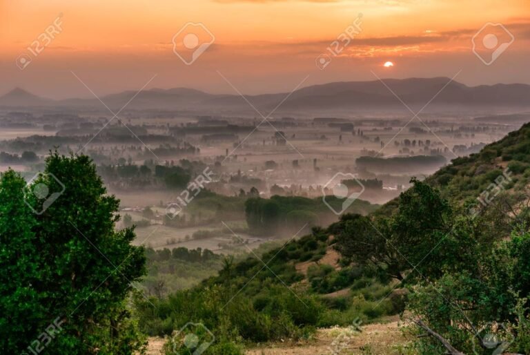 A qué hora abre el Parque O'Higgins en Santiago de Chile 8 A qué hora abre el Parque O’Higgins en Santiago de Chile