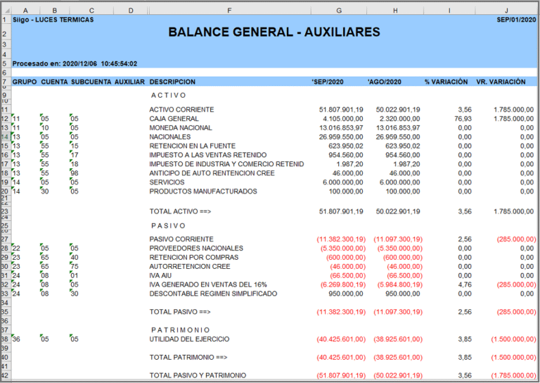 Qué rubros componen el balance general según las NIF en Chile 6 Qué rubros componen el balance general según las NIF en Chile