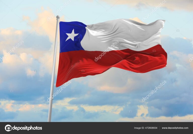 El oficialismo en Chile, qué partido lo representa actualmente 5 El oficialismo en Chile, qué partido lo representa actualmente