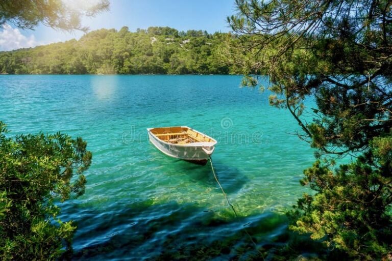 Dónde puedo rentar botes en el Parque Quinta Normal 2 botes de remos en un lago sereno