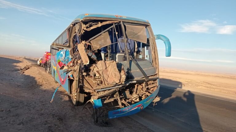 Hay buses al sur de Chile y cuáles son sus horarios y tarifas 3 Hay buses al sur de Chile y cuáles son sus horarios y tarifas