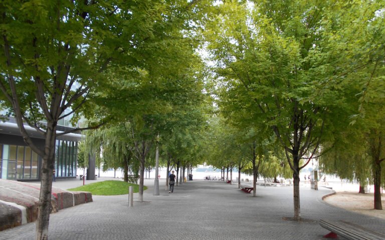 Cómo llegar al Centro Comunitario Carol Urzúa en Avenida Santa Rosa 4 Cómo llegar al Centro Comunitario Carol Urzúa en Avenida Santa Rosa