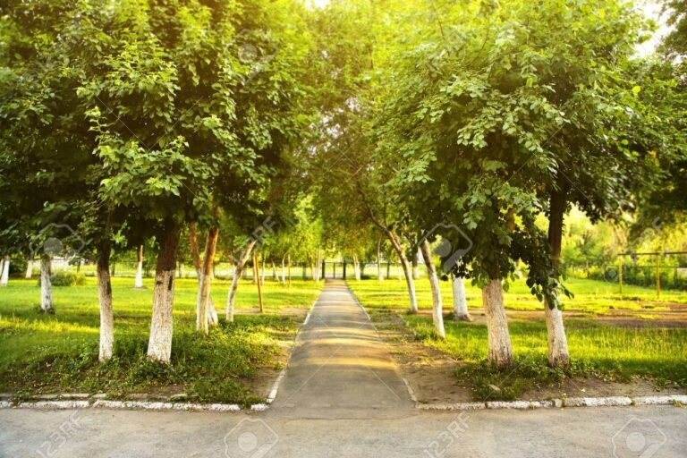 Dónde se encuentra el camino a la pirámide en el Parque Metropolitano de Santiago 5 Dónde se encuentra el camino a la pirámide en el Parque Metropolitano de Santiago