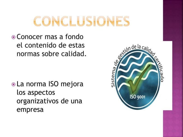 conclusiones sobre normas iso en accion