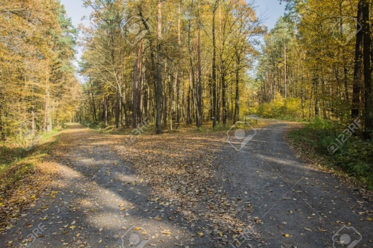 Cuál es la diferencia entre «esta» y «está» en español