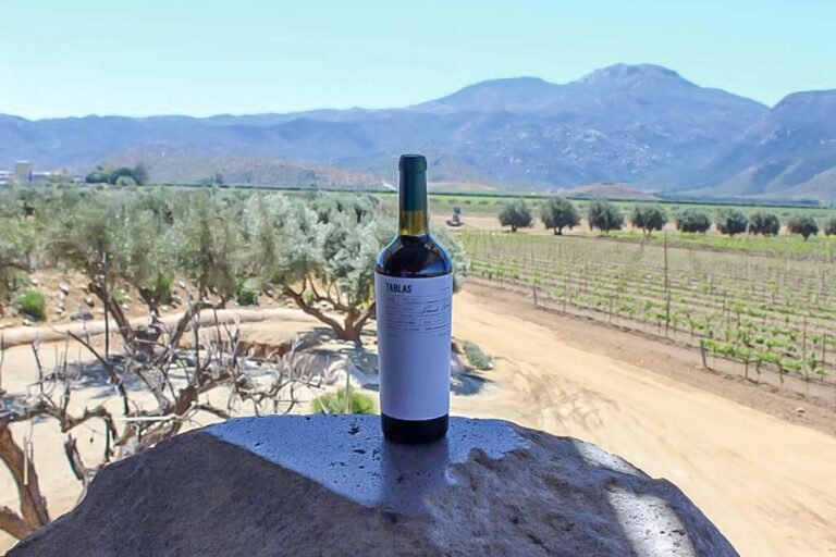 Qué significado tiene el logo de Viña Concha y Toro 2 logo de vina concha y toro en paisaje