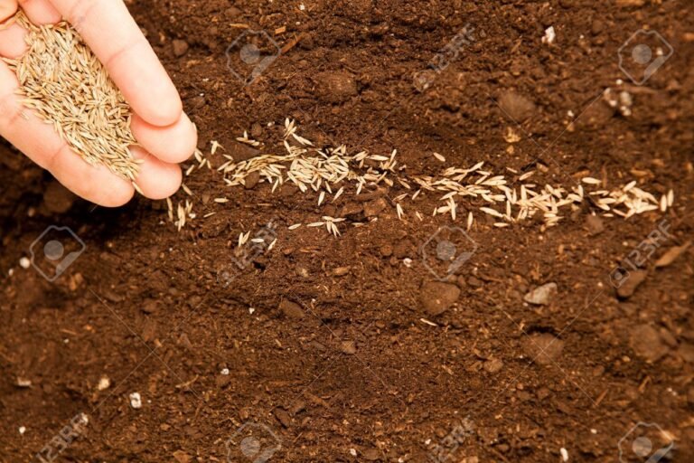 Cómo puedo iniciar un negocio propio sin necesidad de dinero 2 Cómo puedo iniciar un negocio propio sin necesidad de dinero