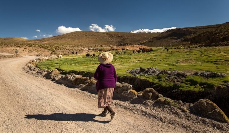 montanas chilenas con paisajes indigenas