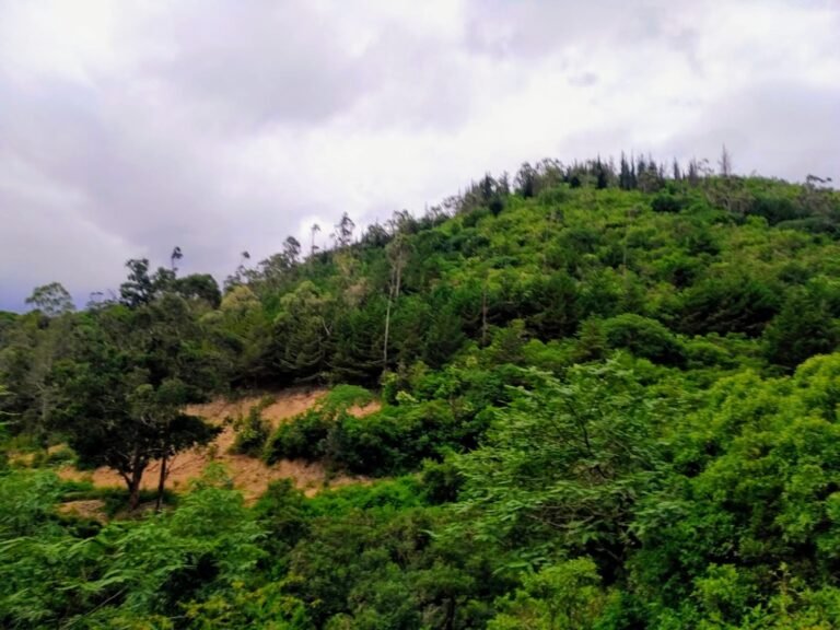 Dónde se encuentra Santa Isabel en Valle Grande y qué ofrece 5 Dónde se encuentra Santa Isabel en Valle Grande y qué ofrece