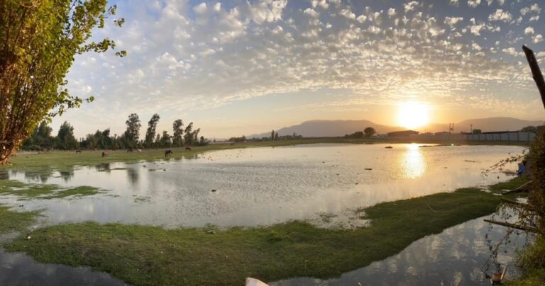 Cuál es el código postal de Quilicura en Valle Lo Campino 6 Cuál es el código postal de Quilicura en Valle Lo Campino