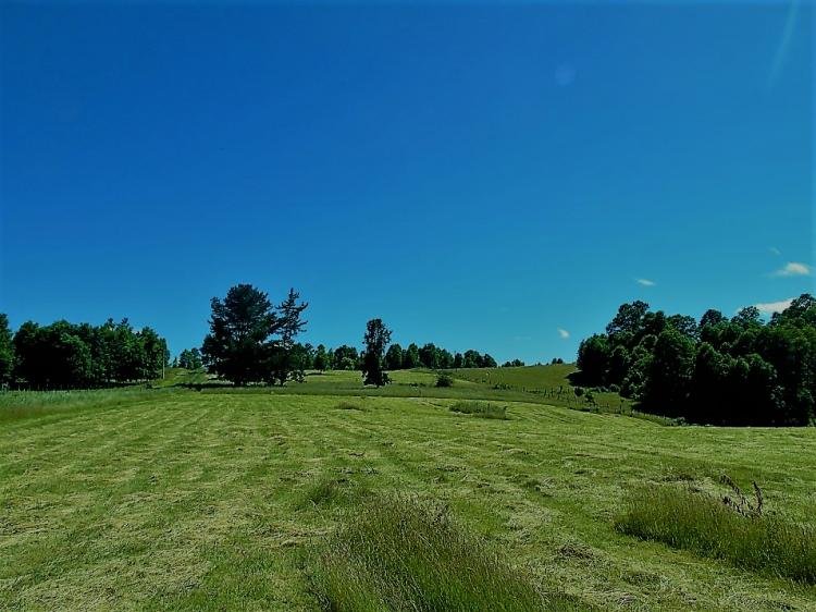 Dónde encontrar parcelas para arrendar por el día en Chile 6 Dónde encontrar parcelas para arrendar por el día en Chile