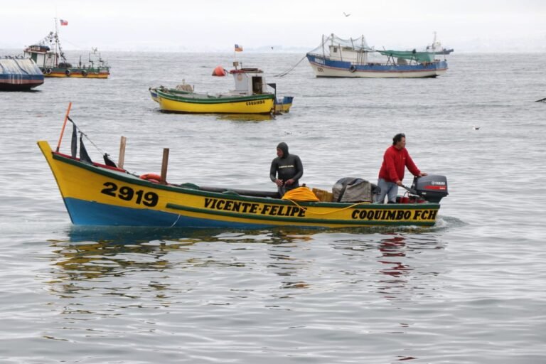 Quiénes son los pescadores perdidos en Coquimbo y qué ha sucedido 6 Quiénes son los pescadores perdidos en Coquimbo y qué ha sucedido