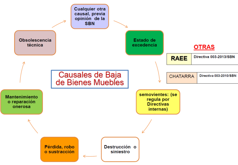 Cómo se realiza el procedimiento para dar de baja bienes muebles del Estado