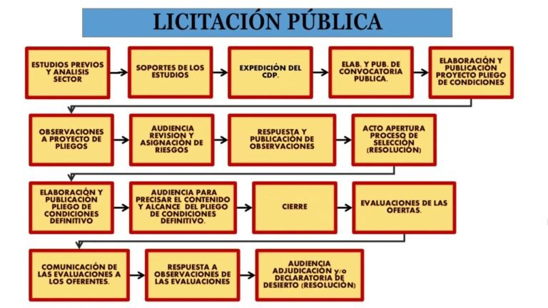 Qué Son las Licitaciones Públicas y Cómo Funcionan en Chile 2 proceso de licitacion publica en accion