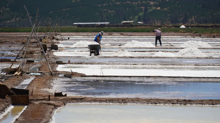 Qué es la sal sin yodo y dónde encontrarla en Chile 5 Qué es la sal sin yodo y dónde encontrarla en Chile