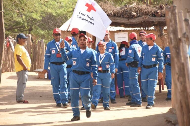 Qué servicios ofrece la Cruz Roja Chilena Filial Viña del Mar 5 Qué servicios ofrece la Cruz Roja Chilena Filial Viña del Mar